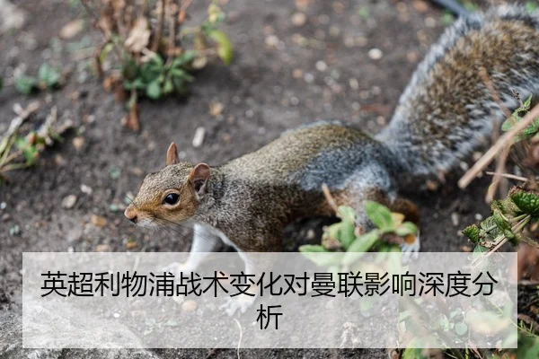 英超利物浦战术变化对曼联影响深度分析